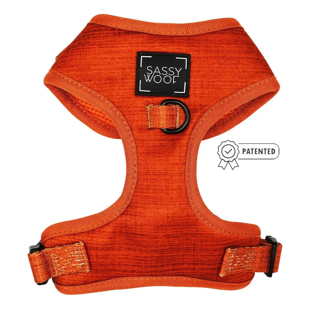 Fall Dog Adjustable Harness - Foxy