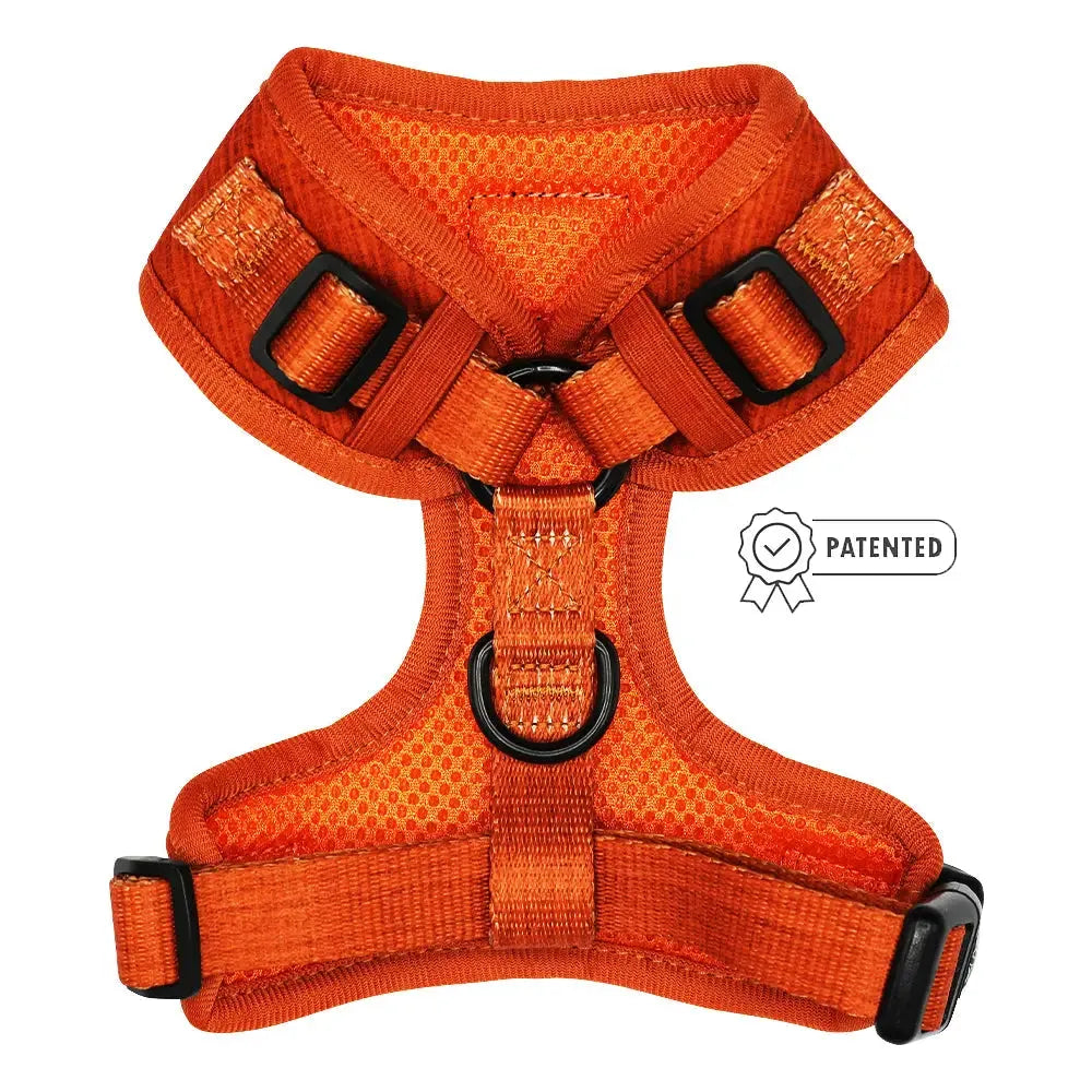 Fall Dog Adjustable Harness - Foxy